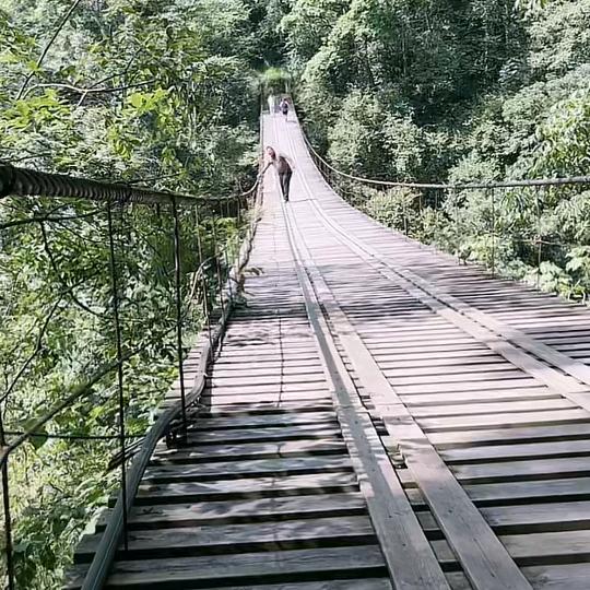 念鑫