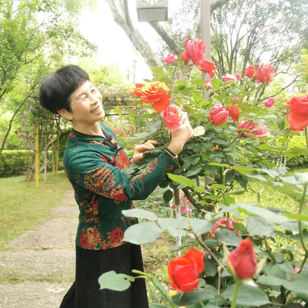 畅慱天下