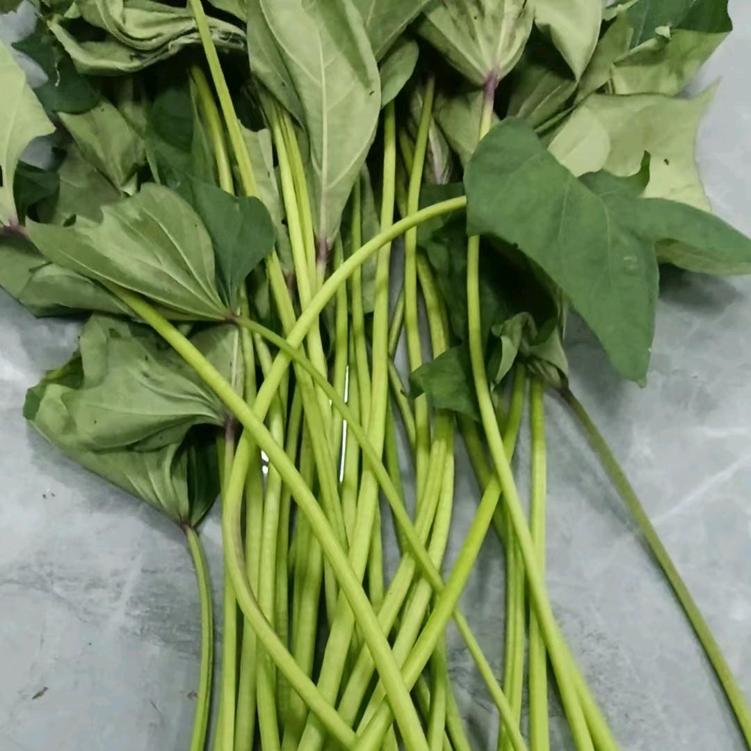 绿源薯秆