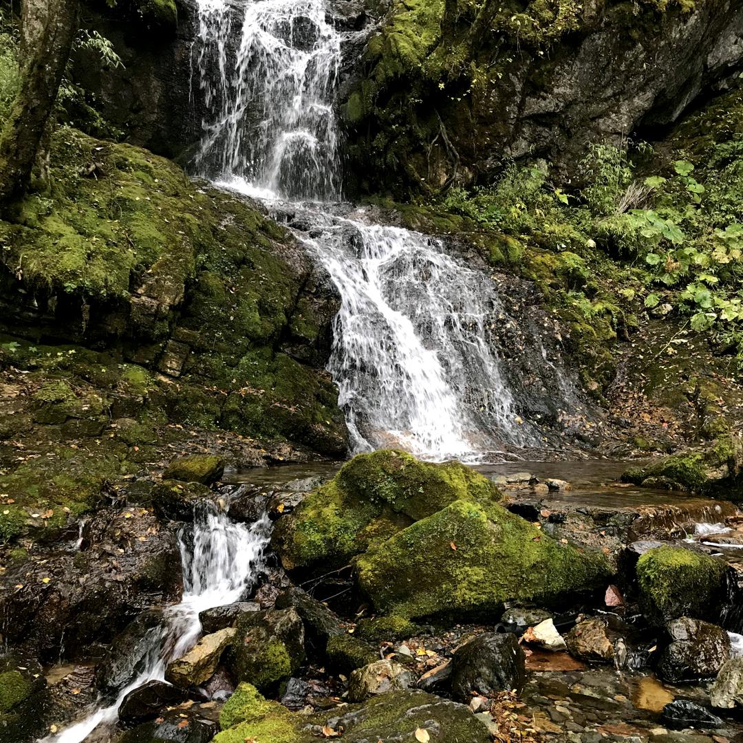 万象.生态景观设计定制工作室