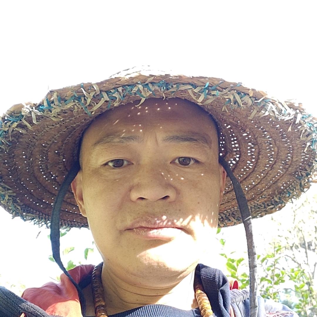 小飞