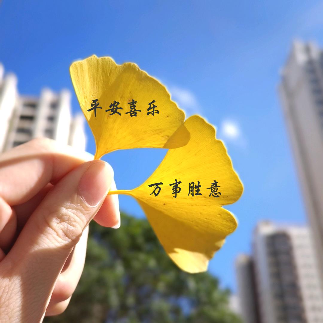 🌈合力兽药廖清娇