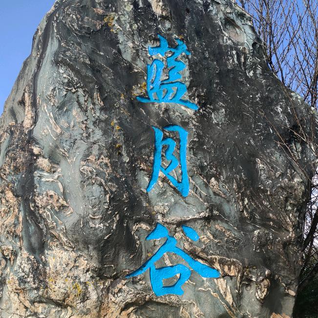 @哦米噢噢