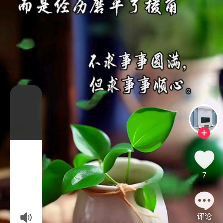 霞姐