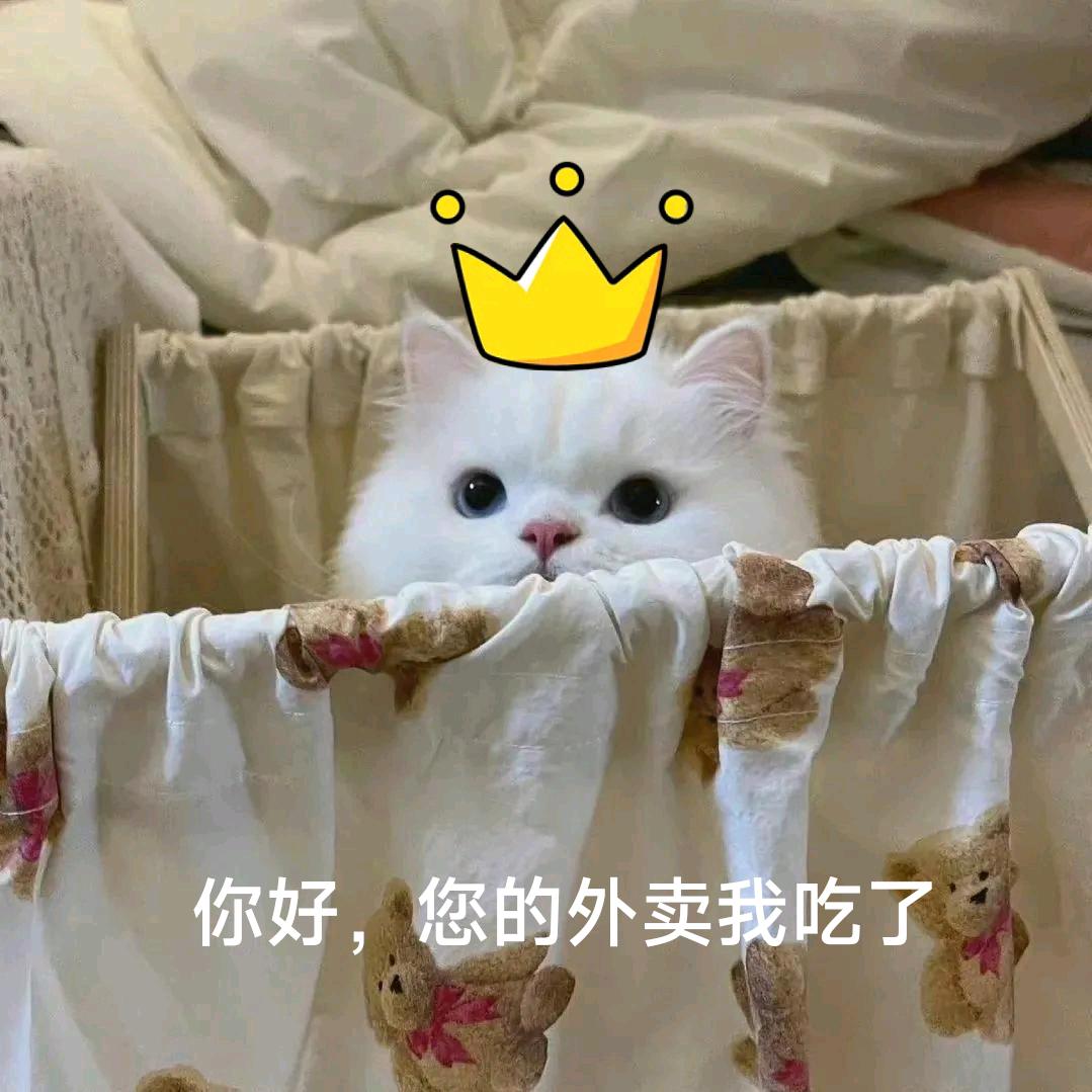 美么了骑手-沸总