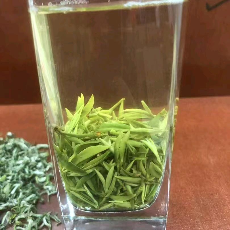 沁香爱喝茶