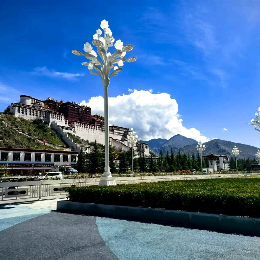 母爱摩丝