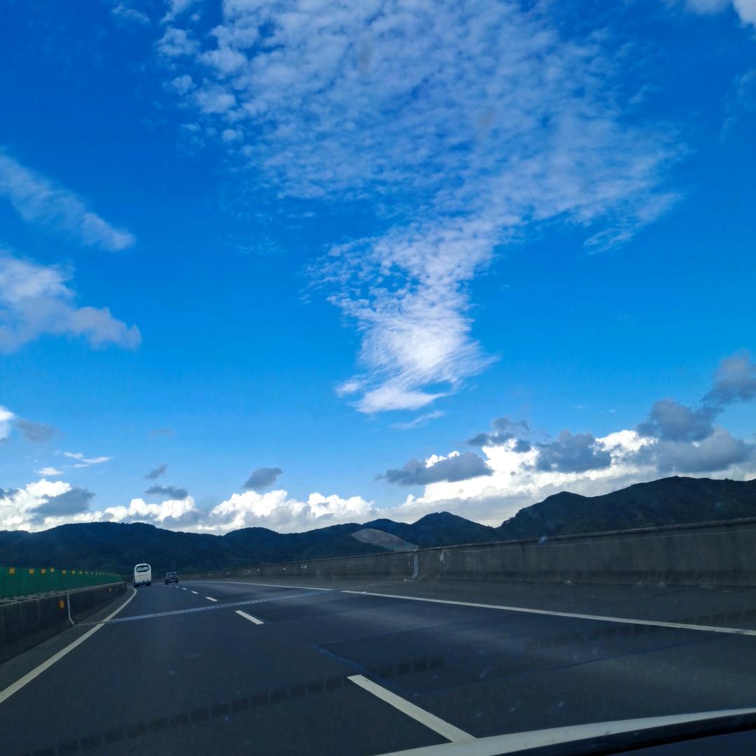 雄鹰