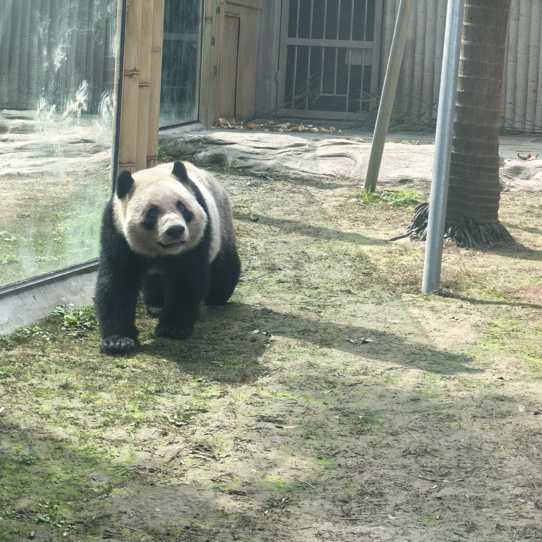 昊