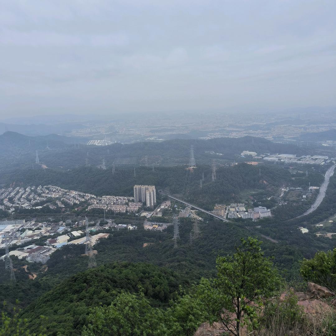 宁静的夏