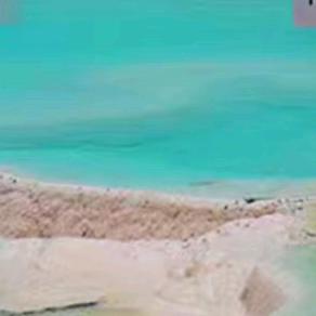 惠康Q姐
