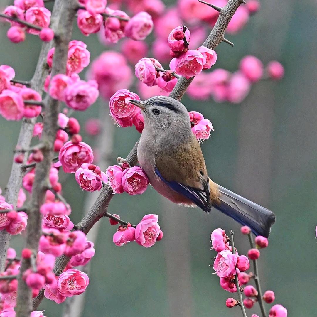 时光如梭，一去不复返