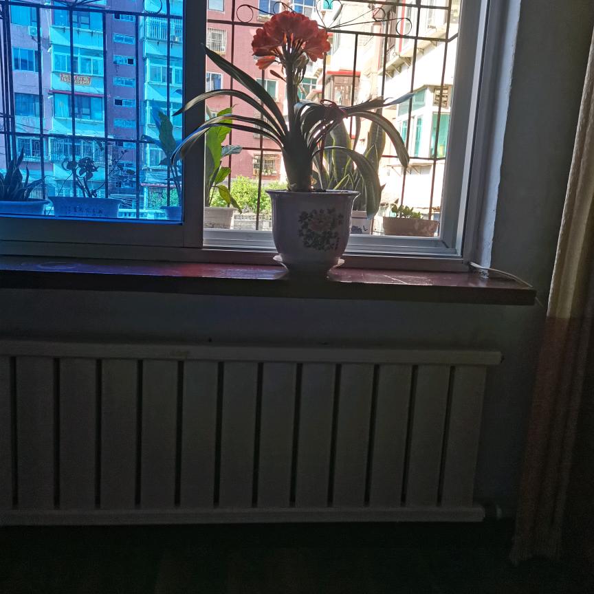 芦英