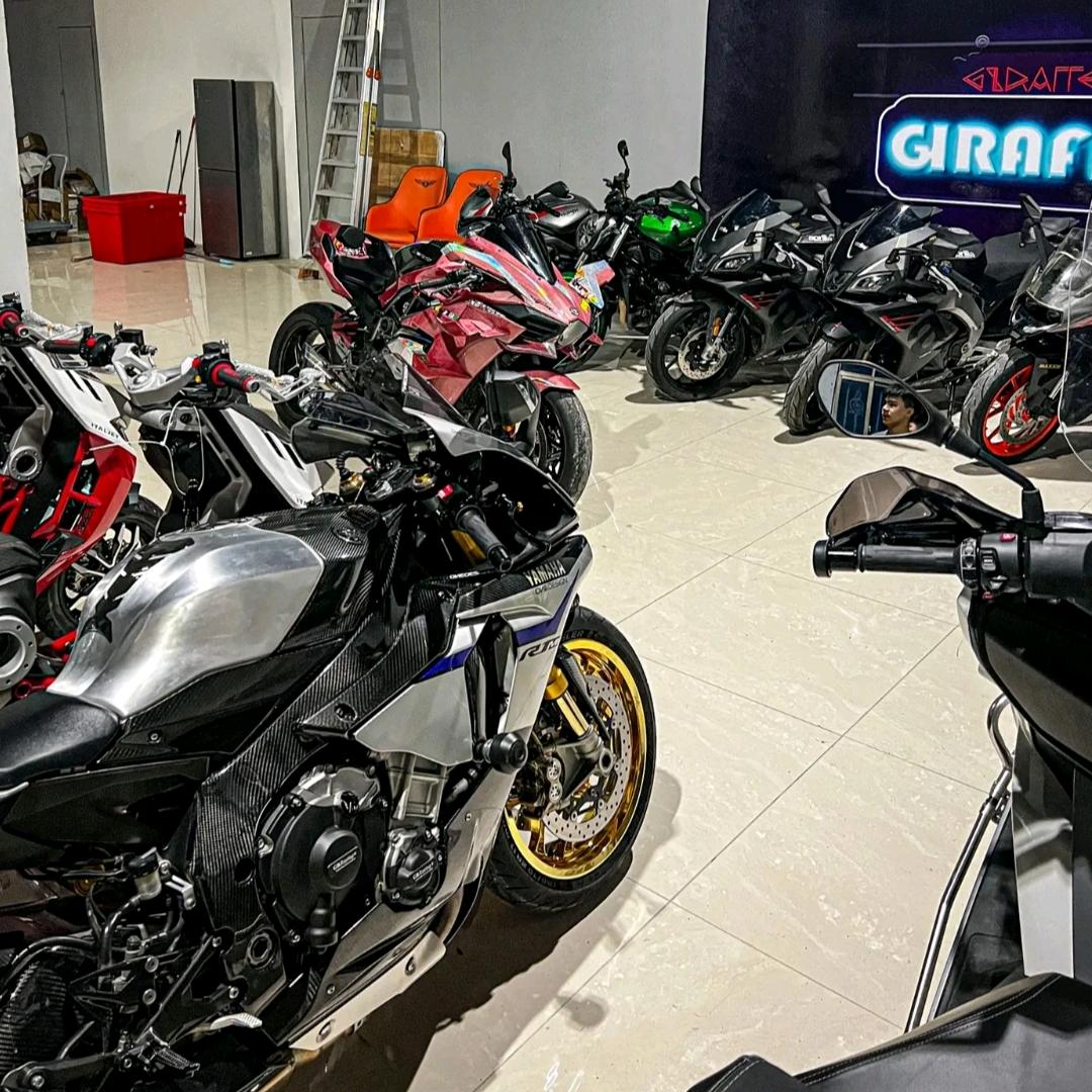 辰陌学长有狼尾