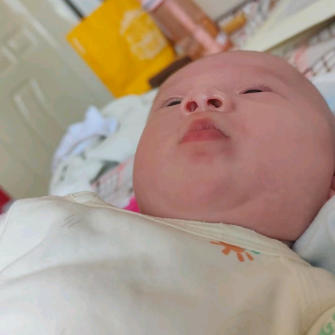 ✨张张在努力
