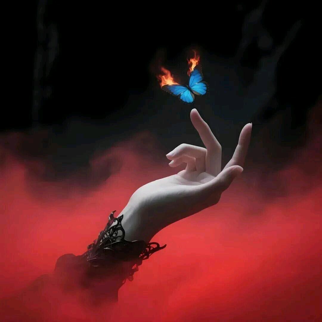 花蝴蝶~~🦋🦋🦋