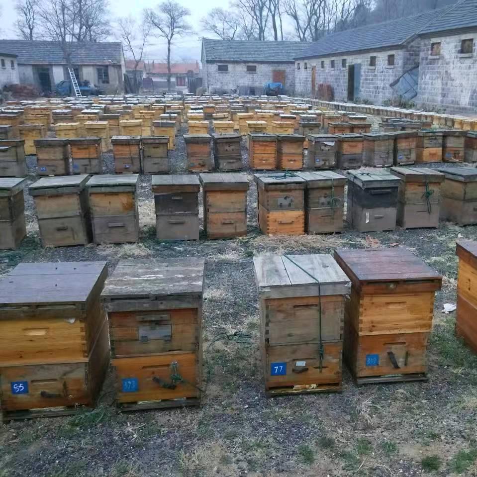 海阳市蜜蜂涧蜂业生物科技有限公司