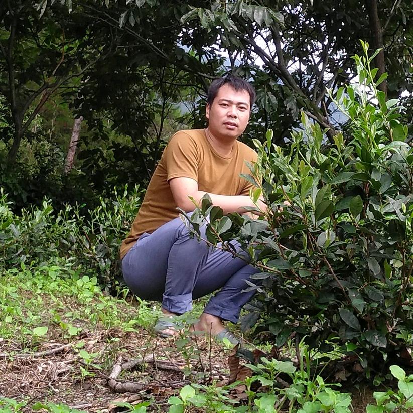 阿中家的茶