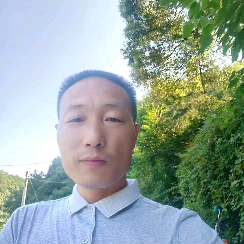 清茶一杯