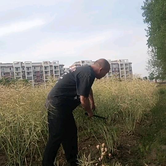 曳步，定远，老刘