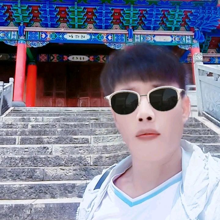 我是想飞