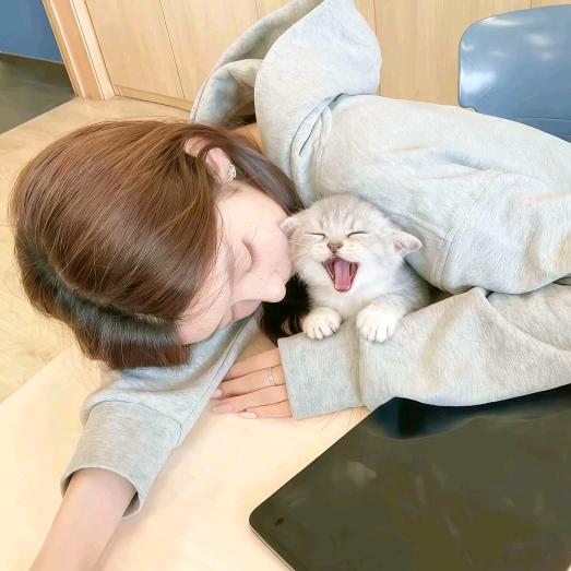 Y.suki