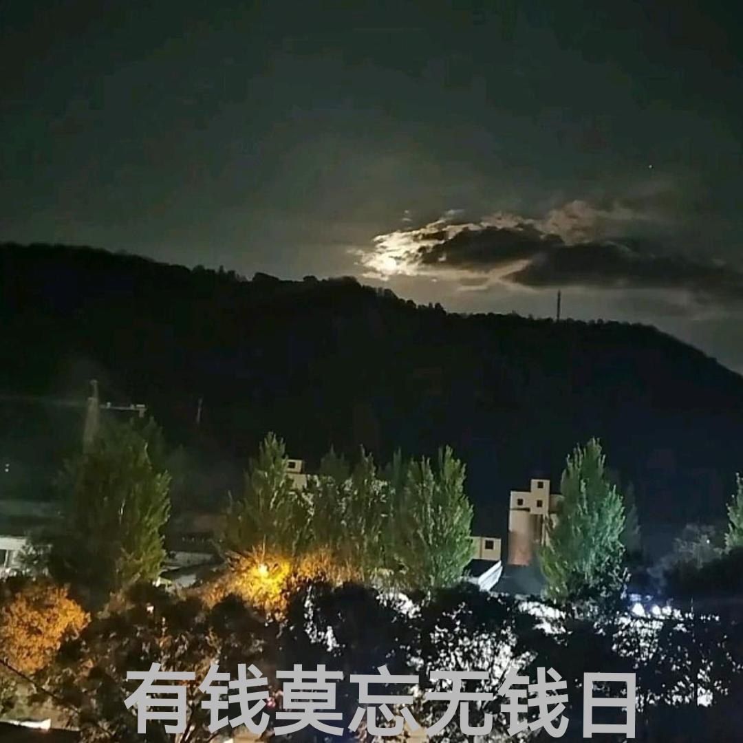 静默者贵习 怀庄 国台