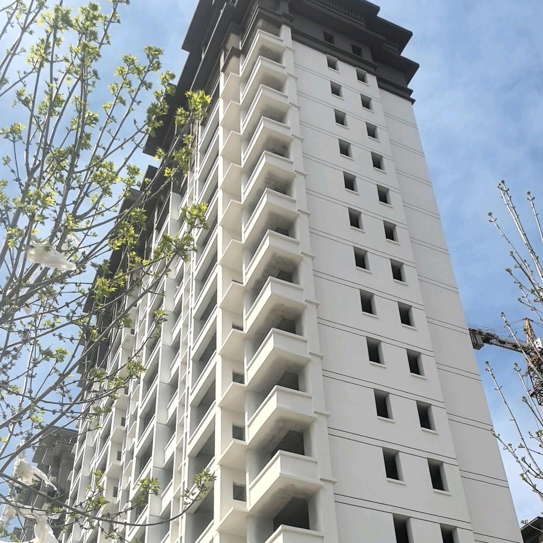 外墙装潢范志军（外墙仿石漆）