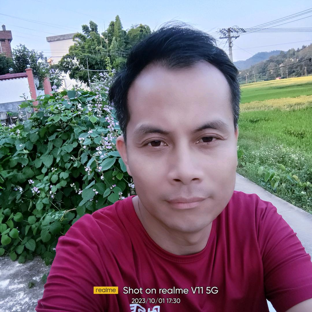 春天的太阳