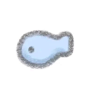 岚锐