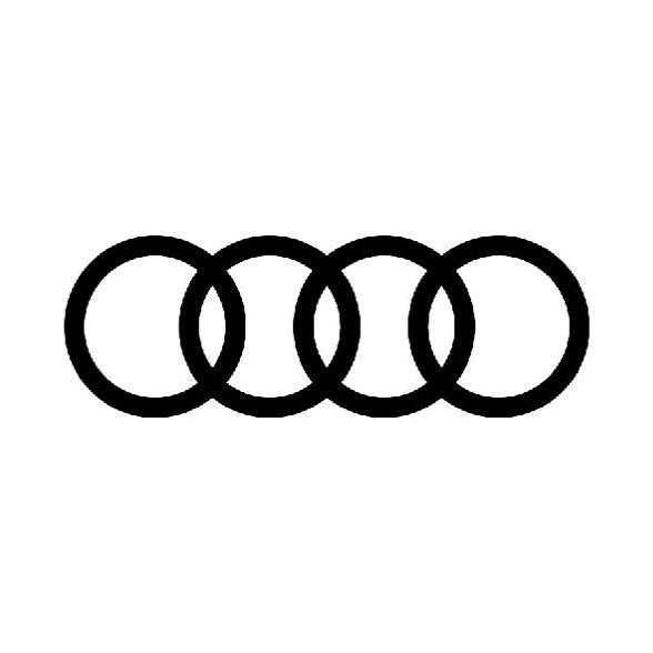 广西钜荣奥迪4S店