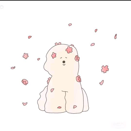 相遇即是缘