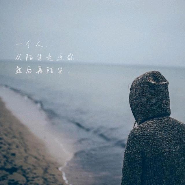 草坪