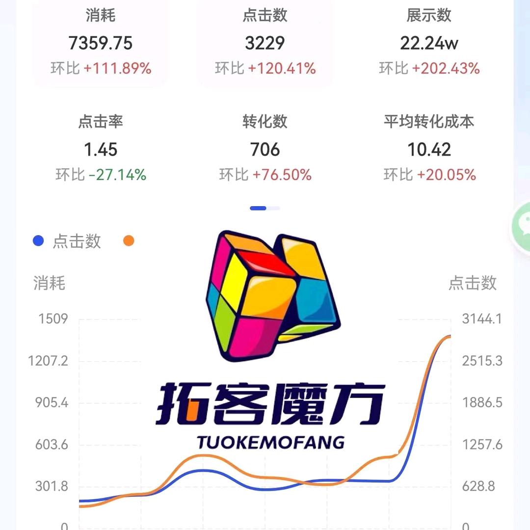 成冈（ai流量体）