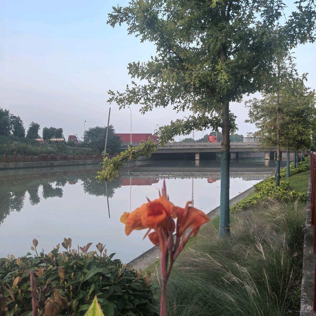 萍姐（首播筹备中）