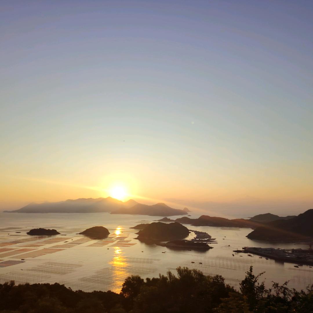 财经小泡椒
