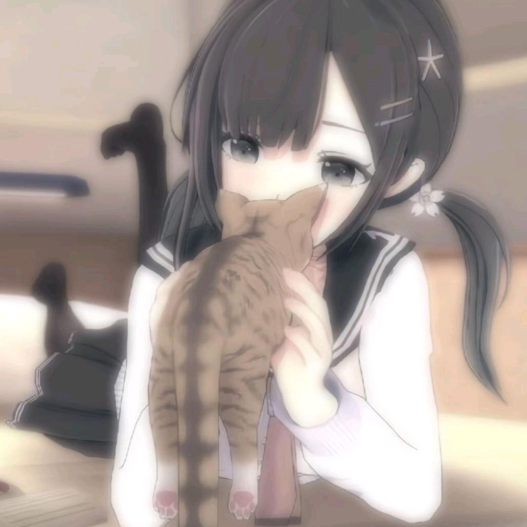 小菜羔子