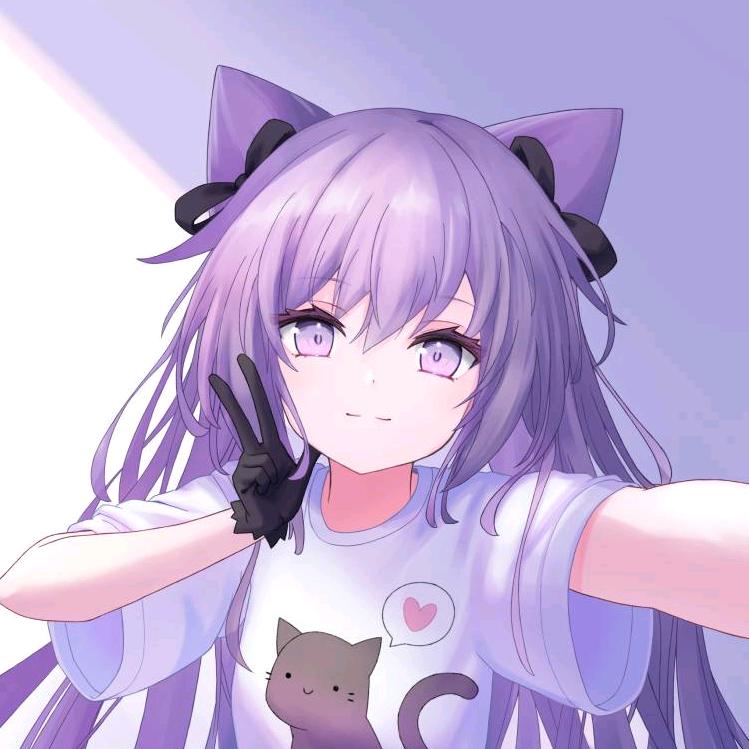 星月之梦