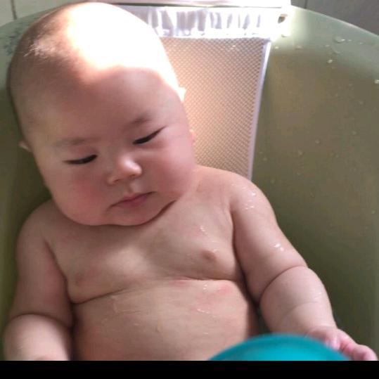 兰花草宝贝