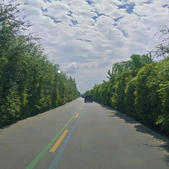 我是我