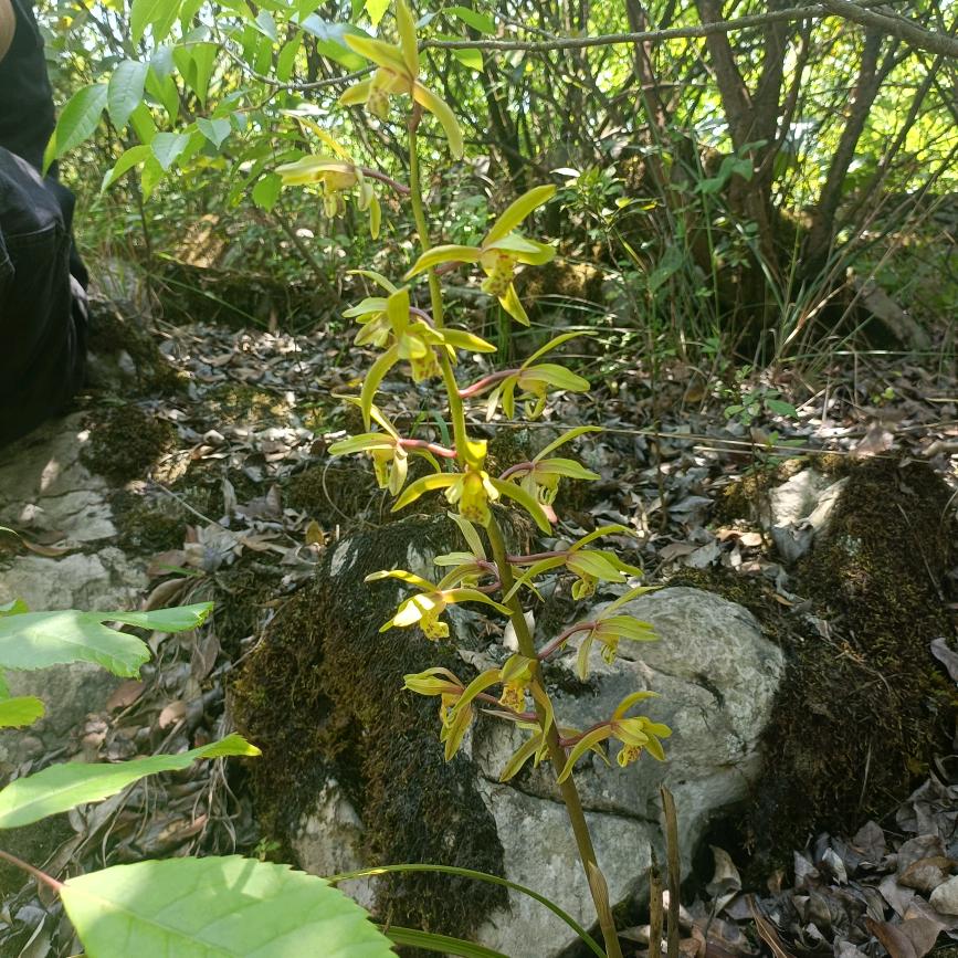 (ꐦ°᷄д°᷅(凉城孤影)*´I`*)