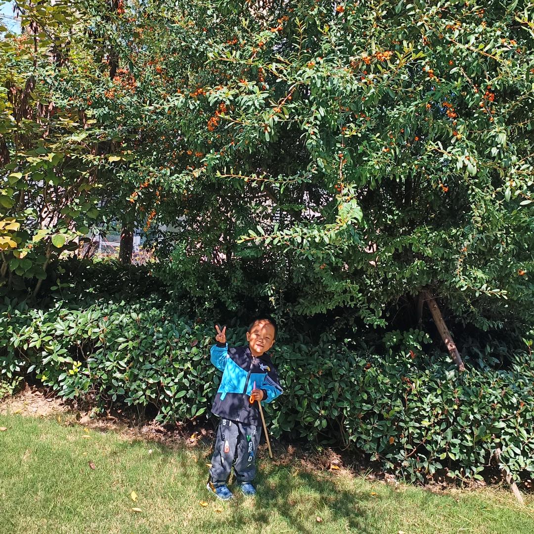 花草树木&阳光雨露