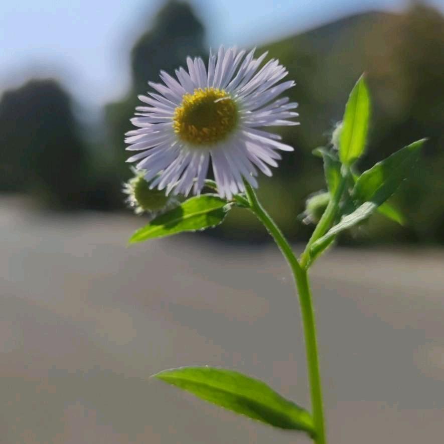 憨态猪ᵞᵘᵃⁿᴮᵃᵒ