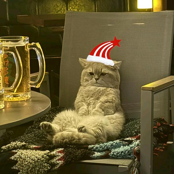 宇宙无敌羰基大将军