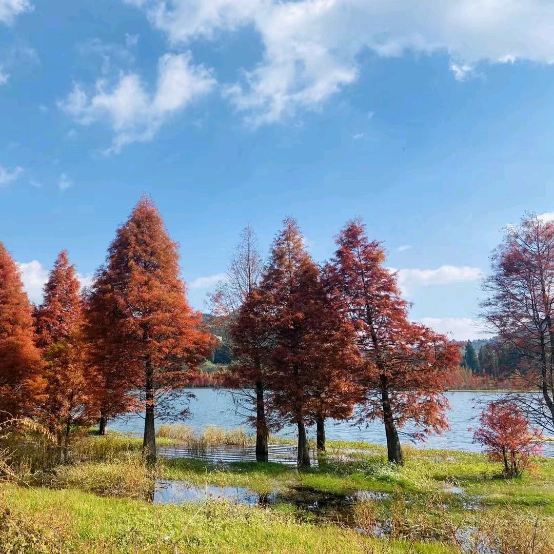 天辰￥齐越图文广告