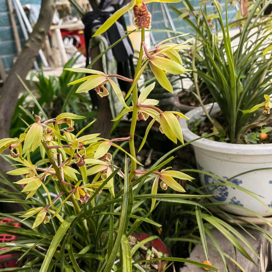 晓園！拒绝转载。