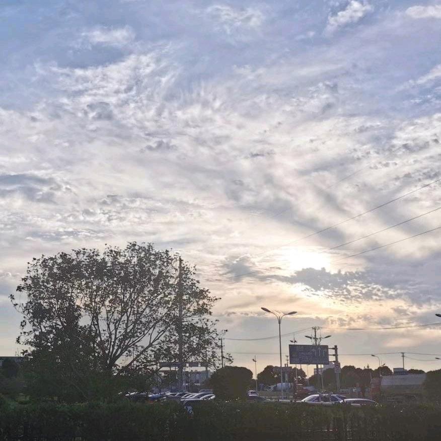 冬日里的一丝光