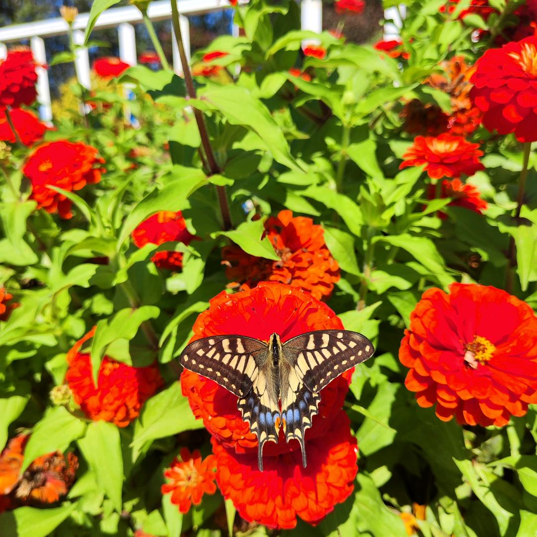 渔人自乐（早上五点十分）