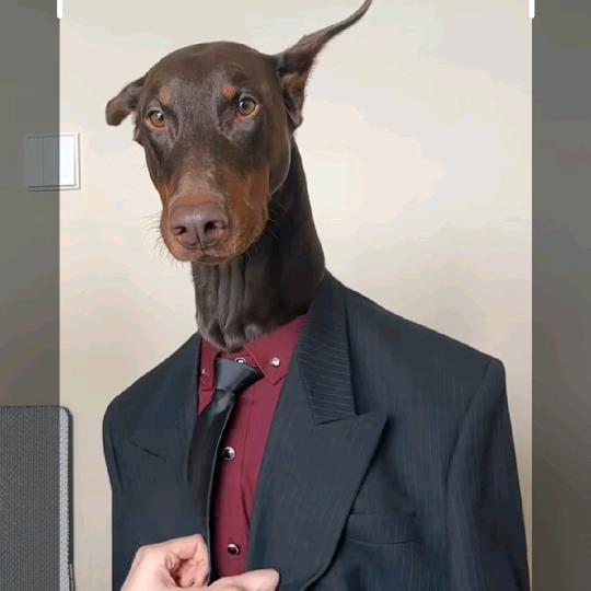 君不见黄河之水