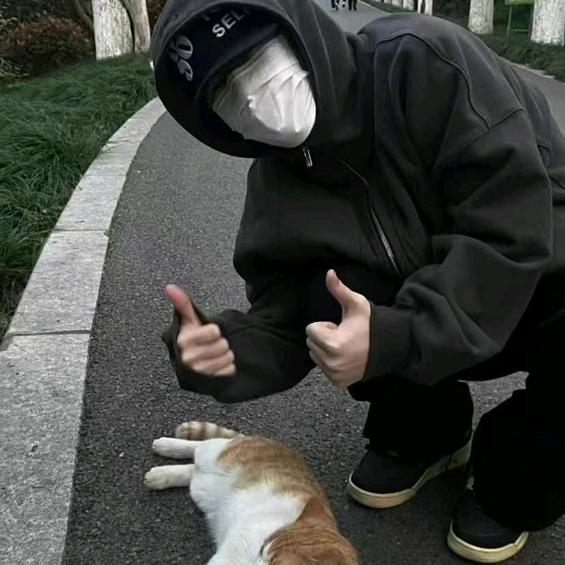 等风来